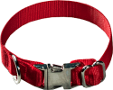 Nylon Dog Collar 1"