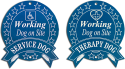 Engraved Therapy or Service Dog Sign