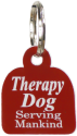 Small Dog Engraved ID Plastic Tag